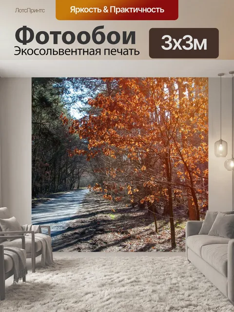 Фотообои Лес