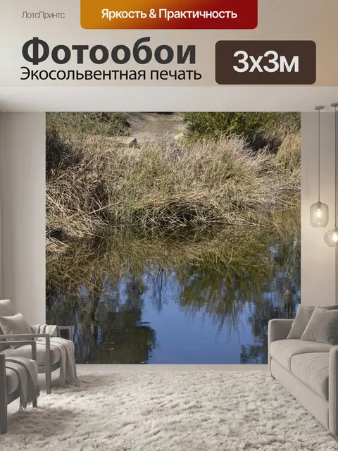Фотообои Высокая трава у кромки воды
