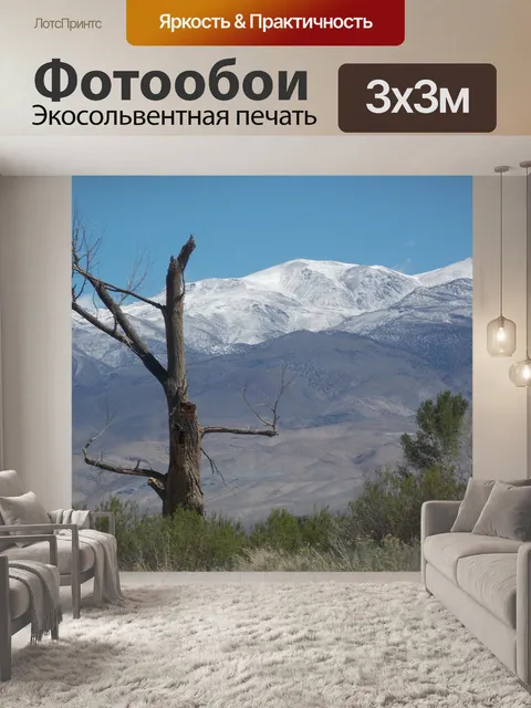 Фотообои Загвоздка