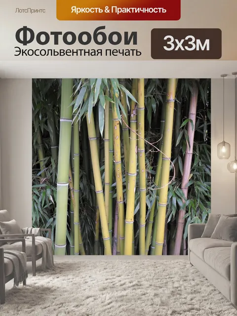 Фотообои Бамбук, соломенная и растительность