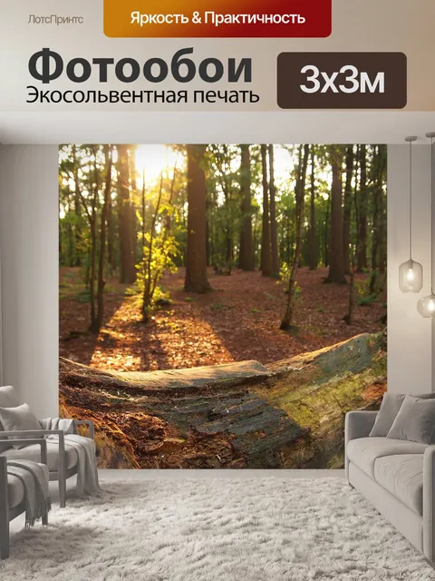 Фотообои Вечер