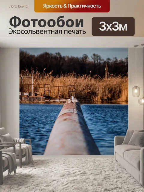 Фотообои Чайка