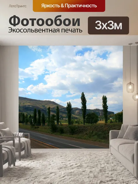 Фотообои тополя у дороги, Кларанс
