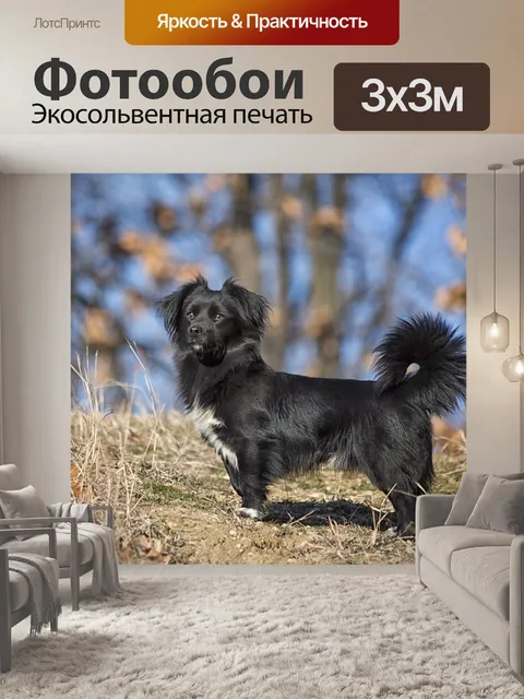 Фотообои Животное