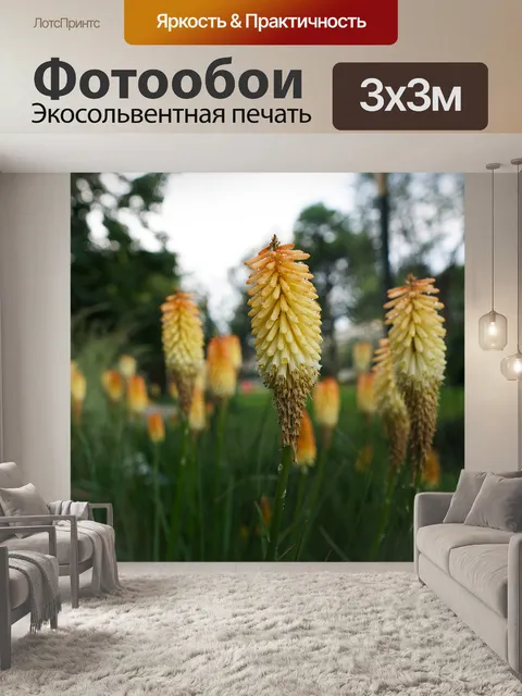 Фотообои Розы