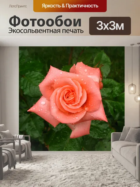 Фотообои Роза
