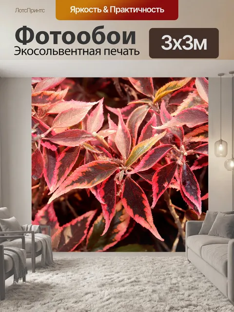 Фотообои Дикая лоза листья