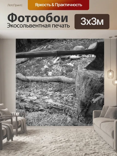 Фотообои Топор
