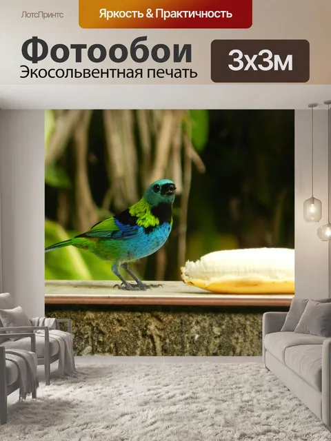 Фотообои Птицы