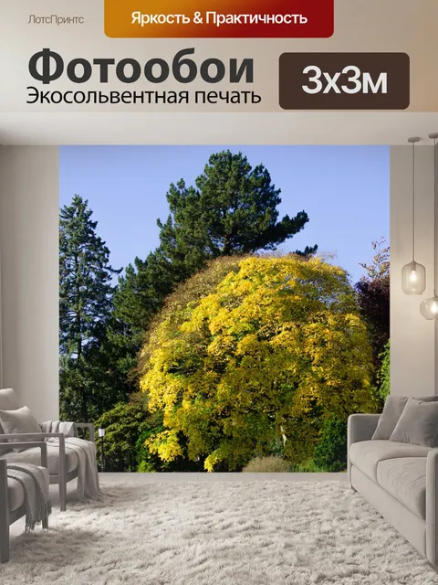 Фотообои коса