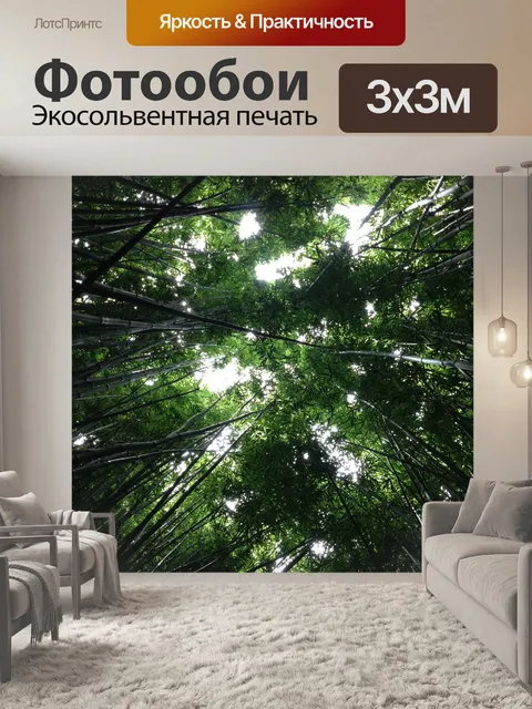 Фотообои Деревья