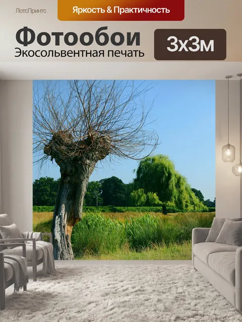 Фотообои Деревья