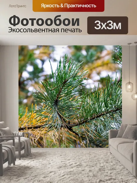 Фотообои Осень