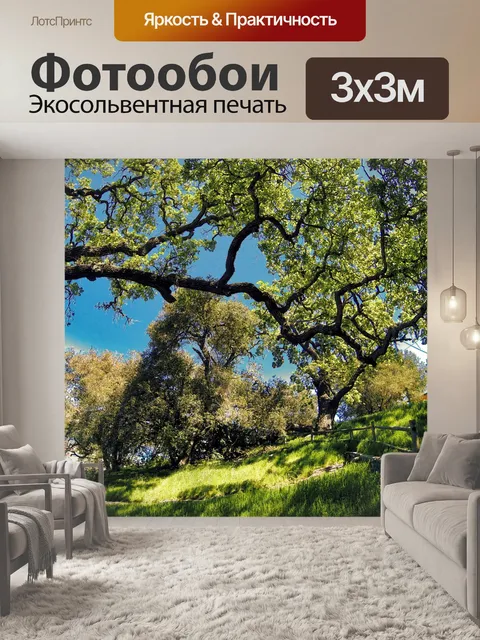 Фотообои Величественные старые деревья