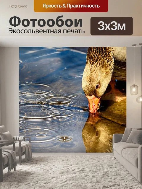Фотообои Гусь