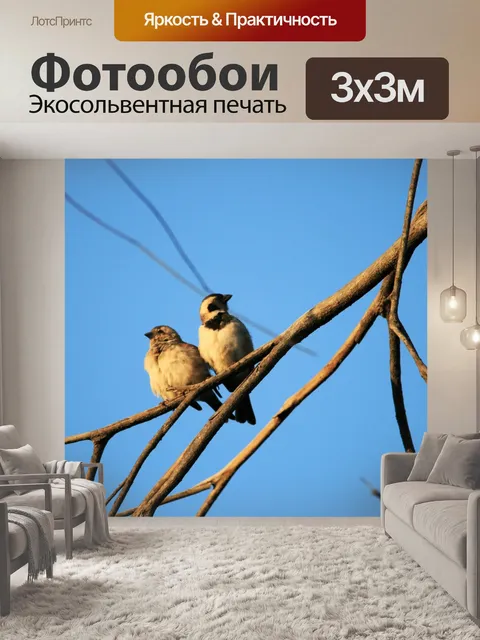 Фотообои мыс воробей пара