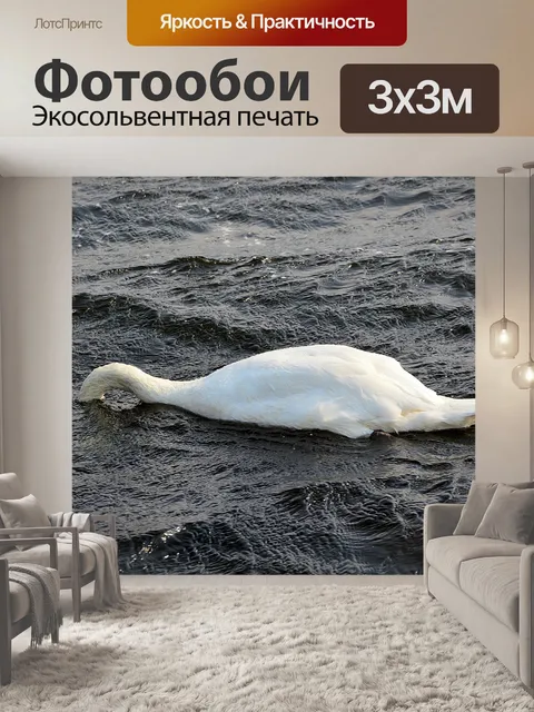 Фотообои Лебеди