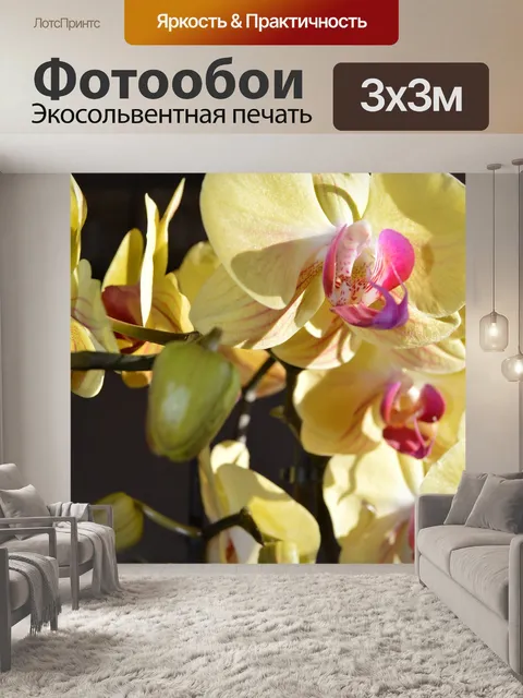 Фотообои Цветы