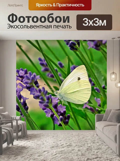 Фотообои Бабочка