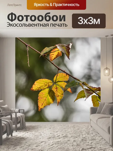 Фотообои Листья