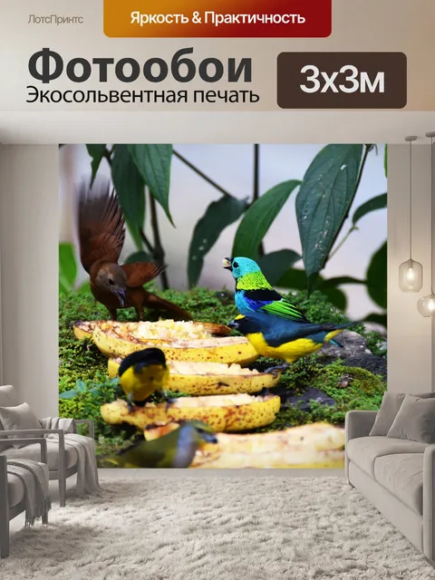 Фотообои Птицы