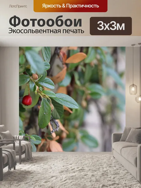 Фотообои Цветок
