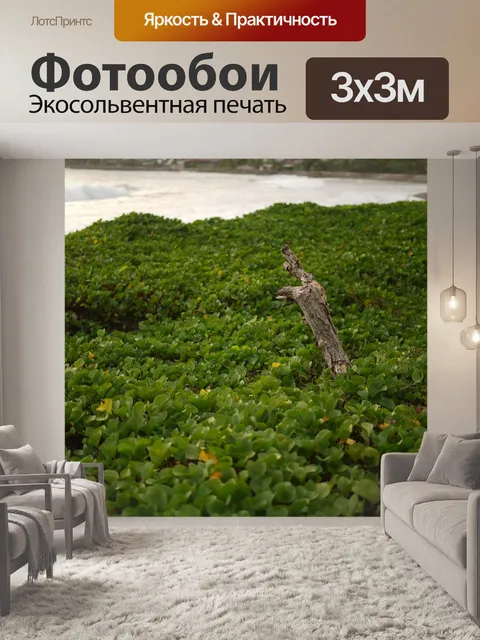 Фотообои Пляж