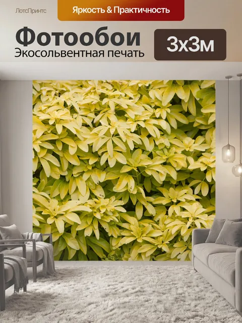 Фотообои Листья фона