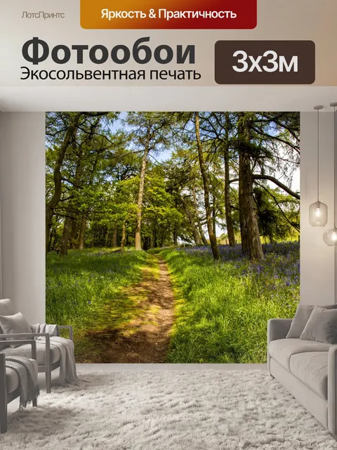 Фотообои Зеленый лес