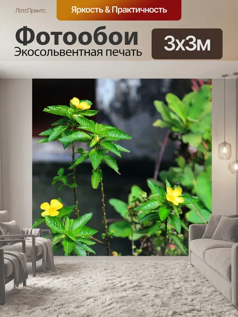 Фотообои цветы в саду