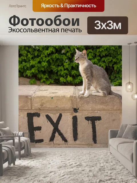 Фотообои Кошки