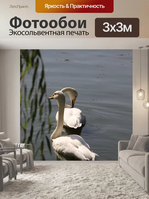 Фотообои Лебеди