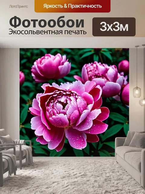 Фотообои пионы в разгар цветения, с каплями росы на лепестках, в технике макрофотографии