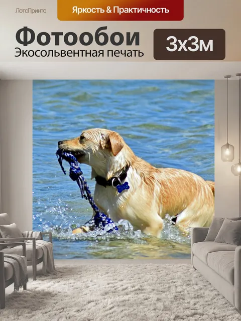 Фотообои Собака