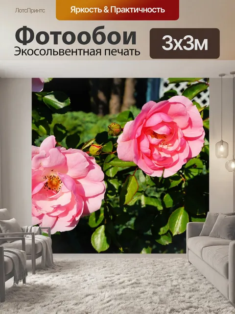 Фотообои Розы