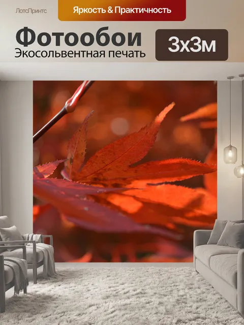 Фотообои Клен
