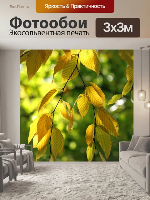 Фотообои Листья
