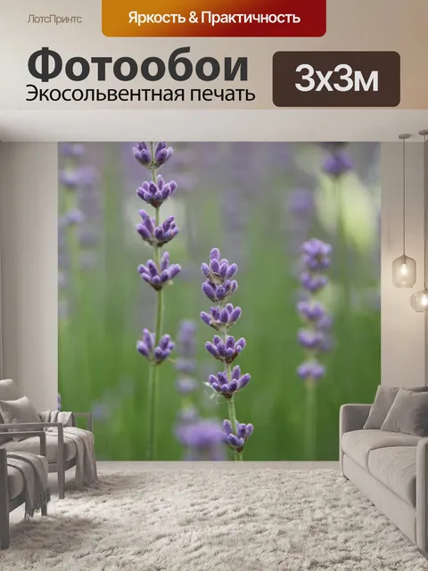 Фотообои Лаванда