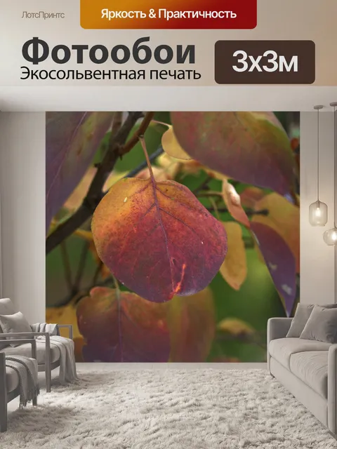 Фотообои Листья