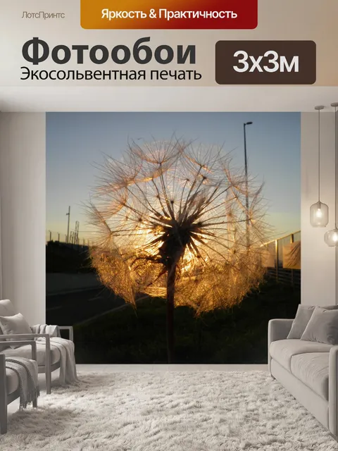 Фотообои Одуванчик