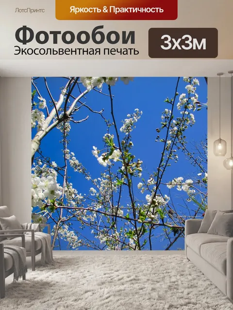 Фотообои Цветы