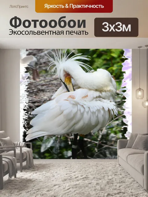 Фотообои Колпица 01
