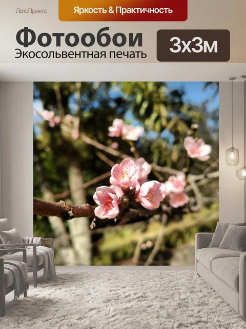 Фотообои Цветок