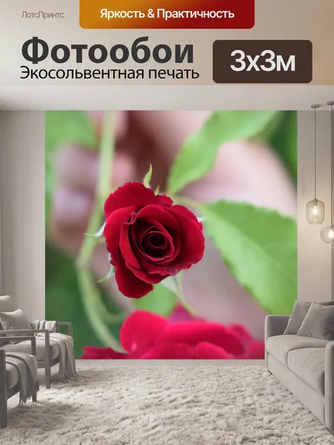 Фотообои Красный