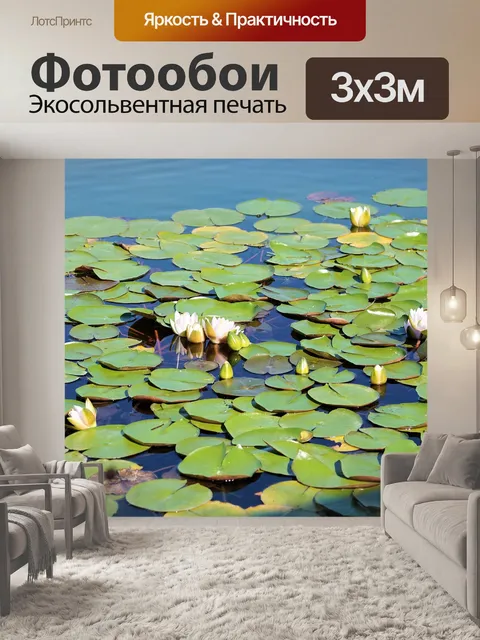 Фотообои Водяная лилия