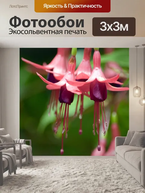 Фотообои Цветы фуксии