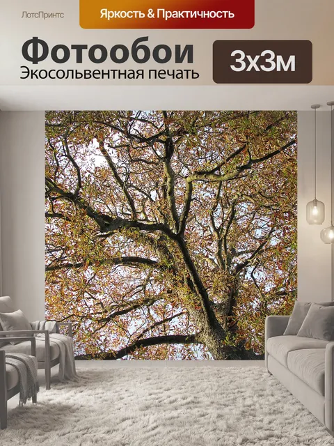 Фотообои Дерево
