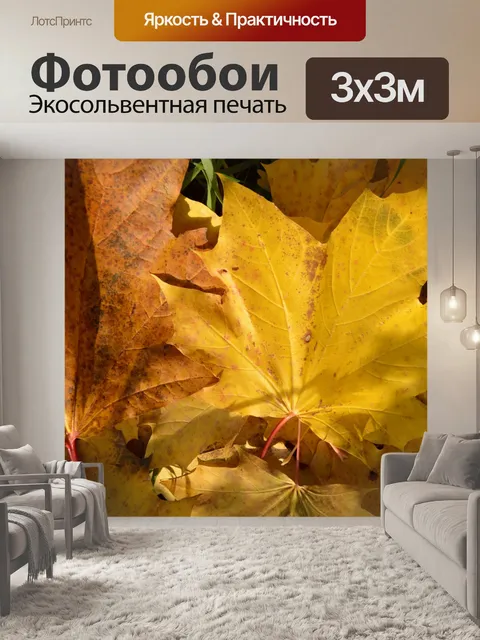 Фотообои Лошадь