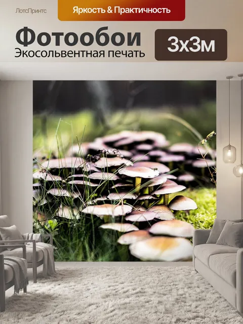 Фотообои Лес
