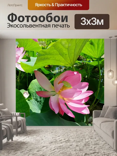 Фотообои Цветы